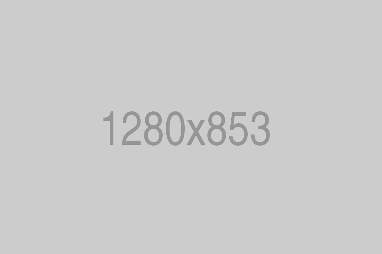 divi-gear-9